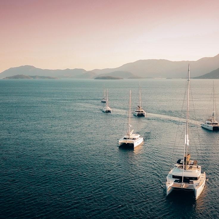 CoveLeafWander yacht fleet